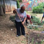 volunteer 3